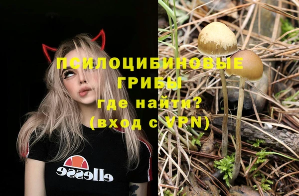 наркотики Бородино